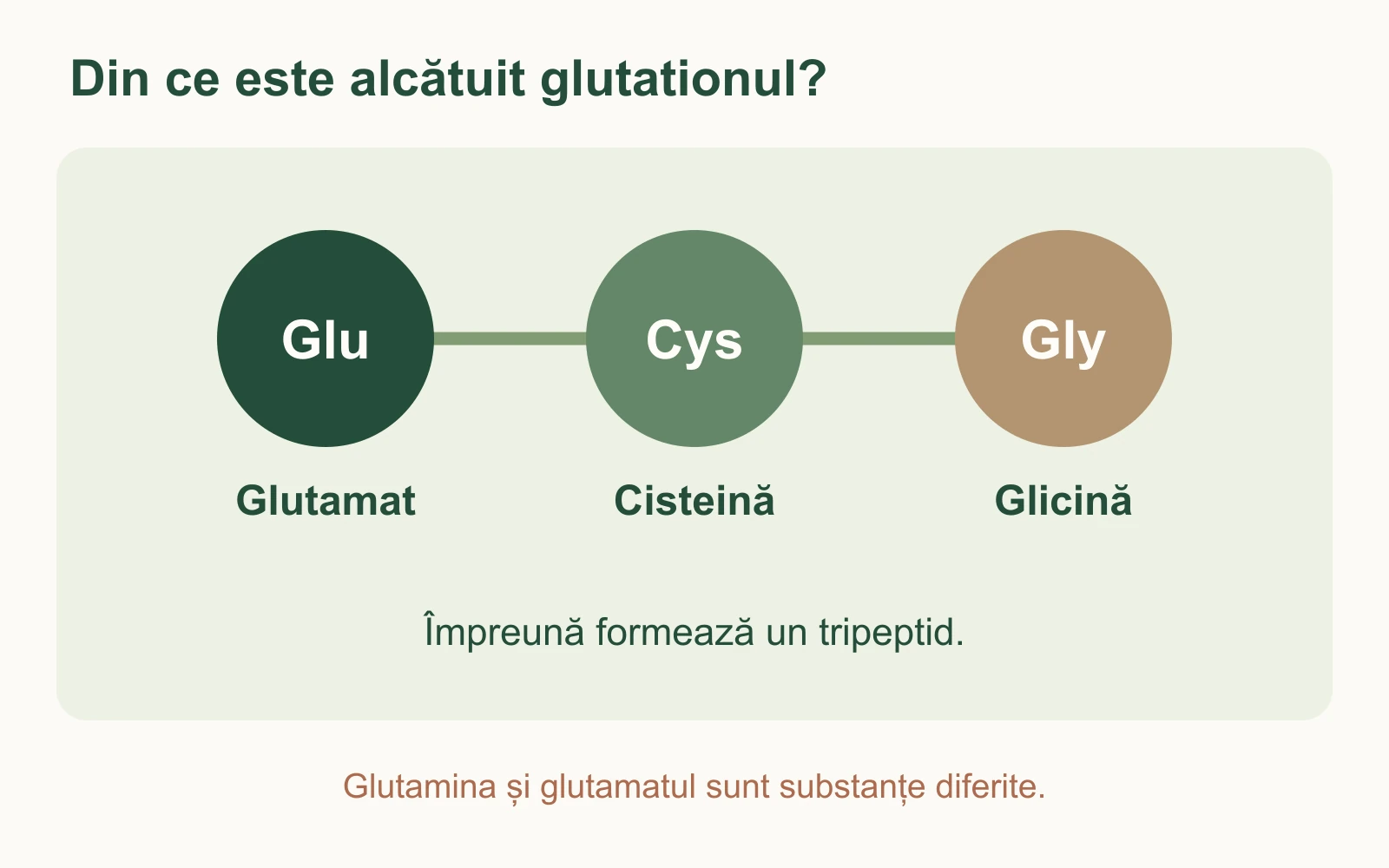 Schemă a componentelor glutationului: glutamat, cisteină și glicină, distincte de glutamină.