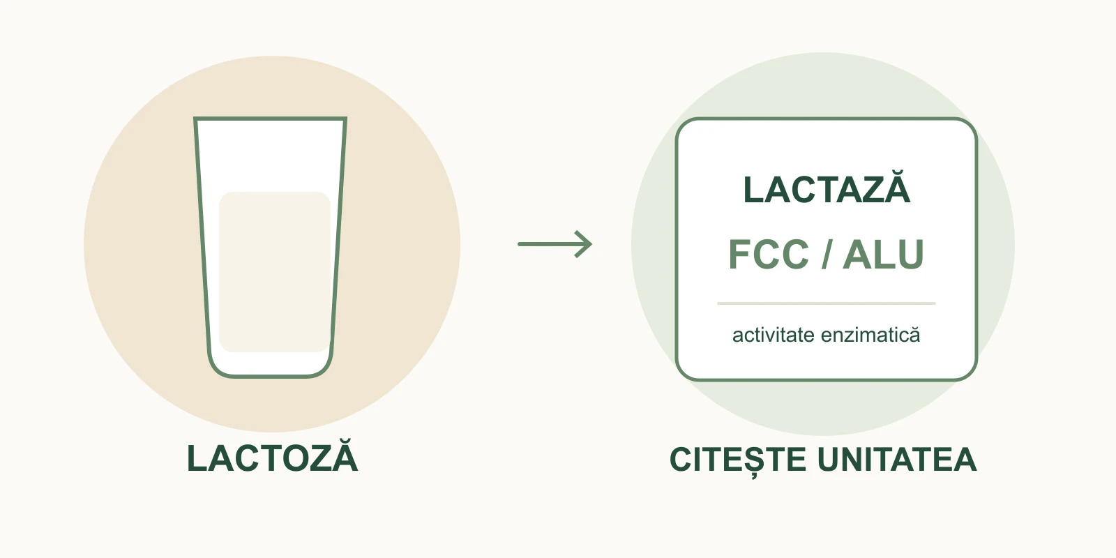 Etichetă ilustrată cu FCC și ALU, alături de un pahar de lapte și simbolul enzimei lactază.